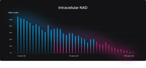 What Does Peak Performance Aging Look Like? Is Cognitive Aging Really a Fact of Life? 4 NAD declining graph 1024x481 1