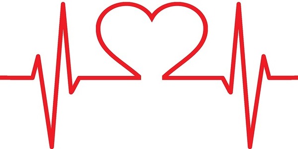 Understanding the Impact of Aging on the Cardiovascular System 4 unnamed 16 2
