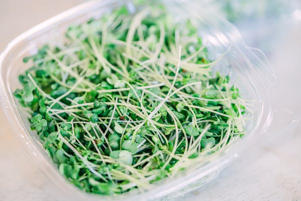 Reviewing Rhonda Patrick's Supplement Routine in 2025 7 Broccoli sprouts in a container