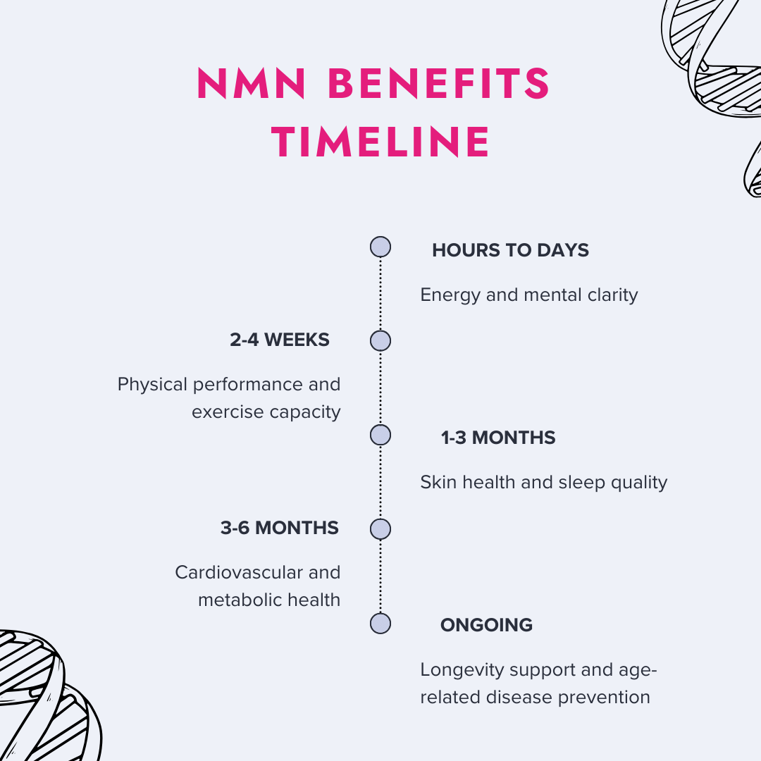 11 Promising Benefits of NMN Supplements 7 Infographic showing a timeline of the benefits of NMN supplementation