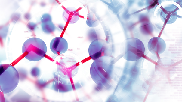 What Are Sirtuins and What Is Their Role in Aging? 4 An image of a cellular regulator of the body