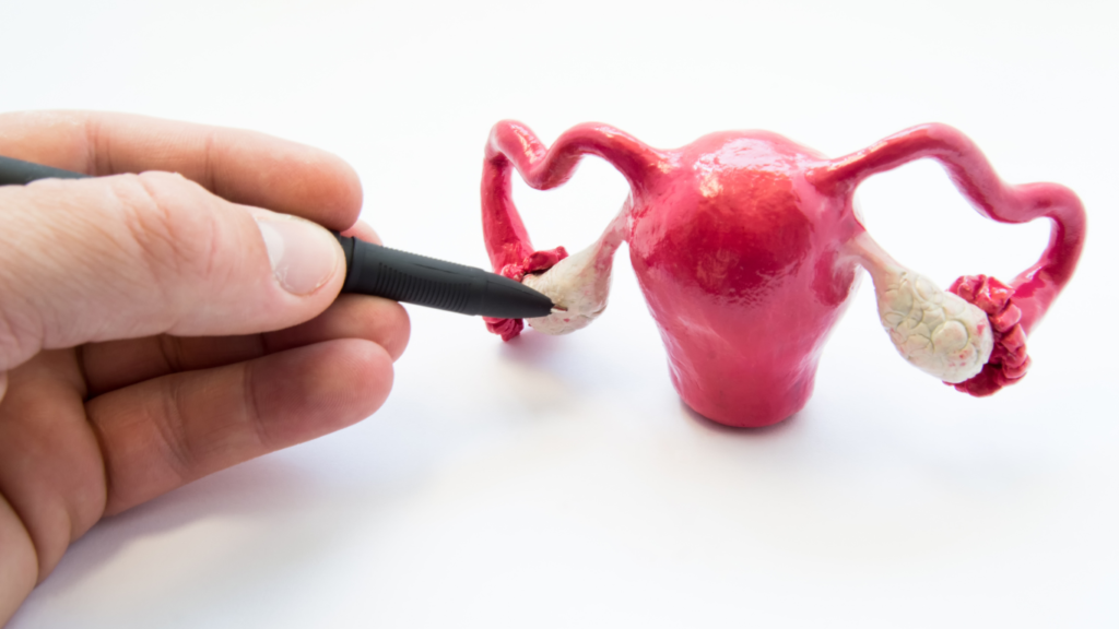 does nad help with fertility