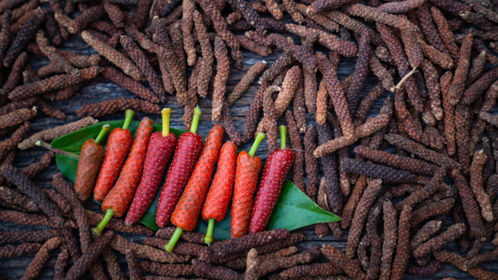 Image of long pepper which contains Piperlongumine