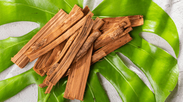 24 Natural Herbs and Spices That Fight Inflammation 20 An image of cat's claw