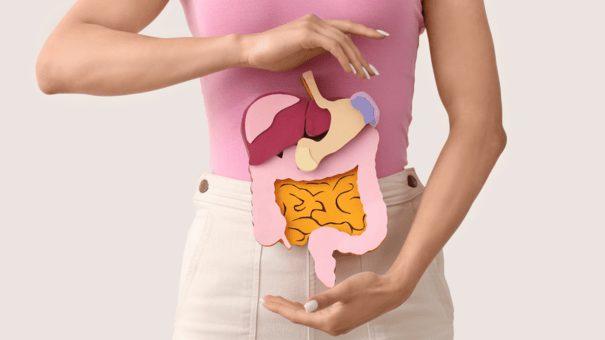 Ginger and Turmeric: A Golden Pair That Works Better Together 7 An image of a healthy digestive system.