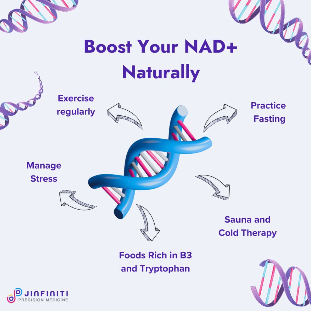 10 Ways to Increase Your NAD+ Levels 5 Infographic showing 5 ways to increase NAD+ levels naturally