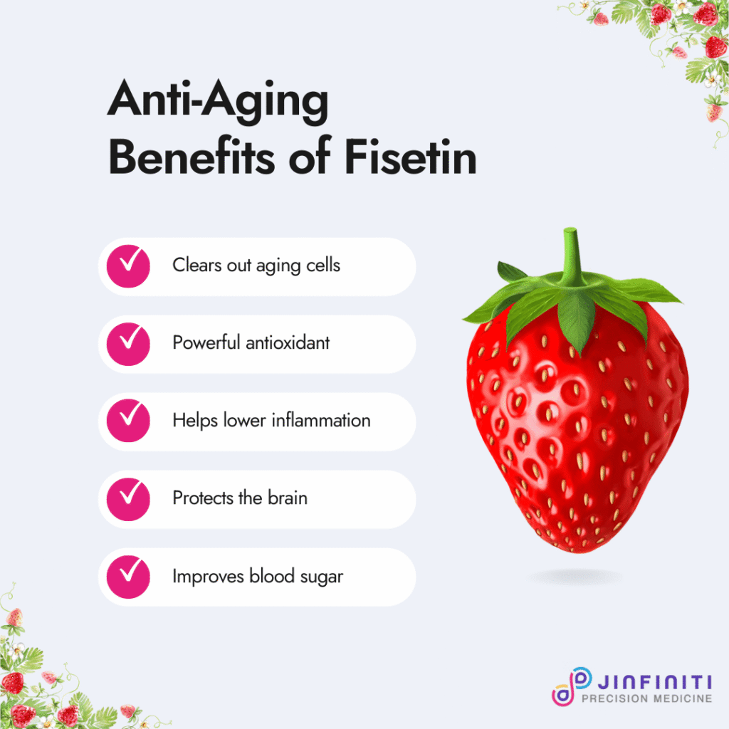 Fisetin: Benefits, Longevity Potential & Side Effects 4 Infographic showing 5 anti-aging benefits of Fisetin