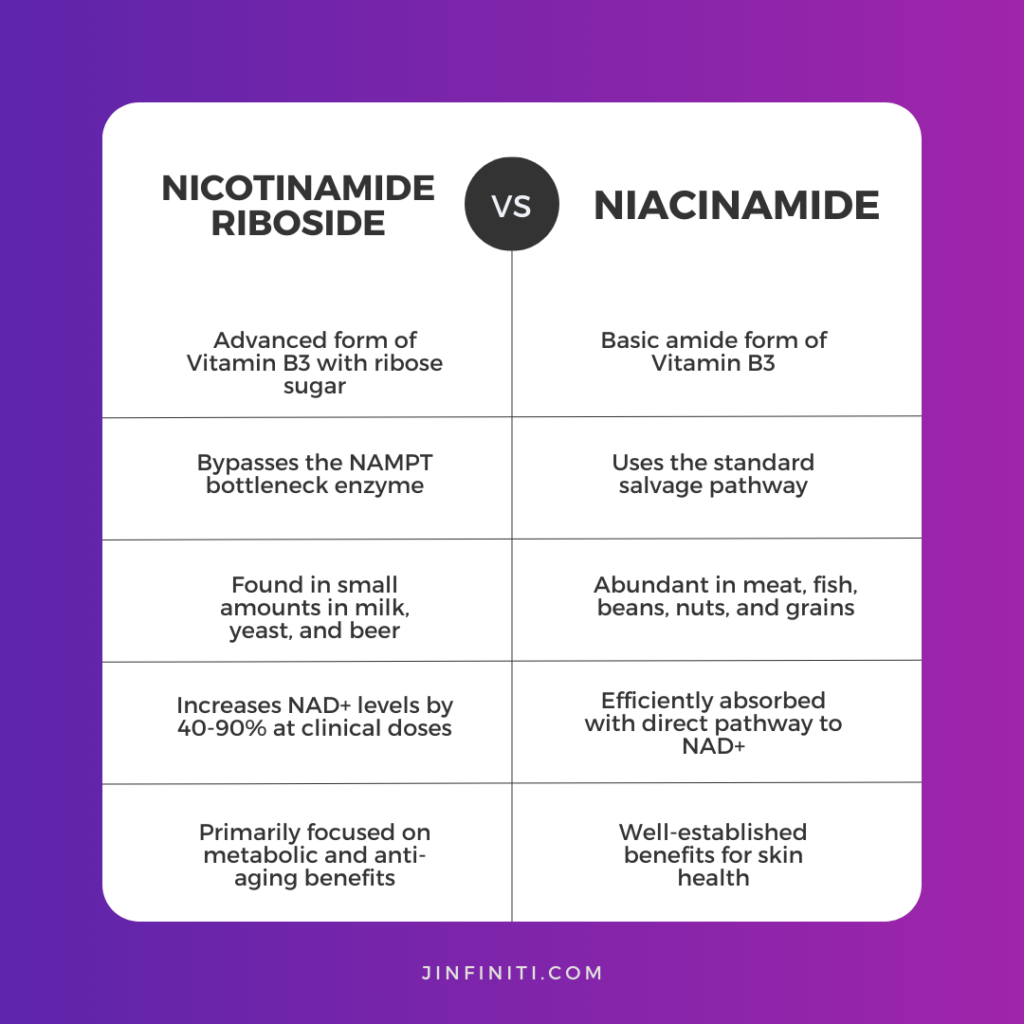 Nicotinamide Riboside vs. Niacinamide: Which is Better? 4 Infographic showing the differences between Nicotinamide Riboside and Niacinamide