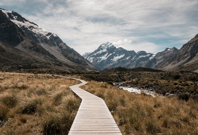 Nicotinamide Riboside vs. Niacinamide: Which is Better? 6 Brown Wooden Path Surrounded With Green Grass Near Mountain