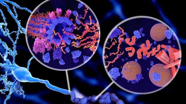 Cellular Degeneration: What It Is and Why It Matters 4 An image of cell degeneration under a microscope
