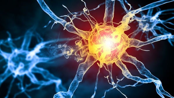 Making Sense of Oxidative Stress Markers: A Guide 6 An image of key oxidative stress markers