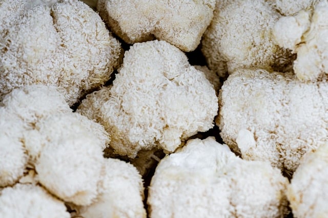 Lion's mane mushrooms
