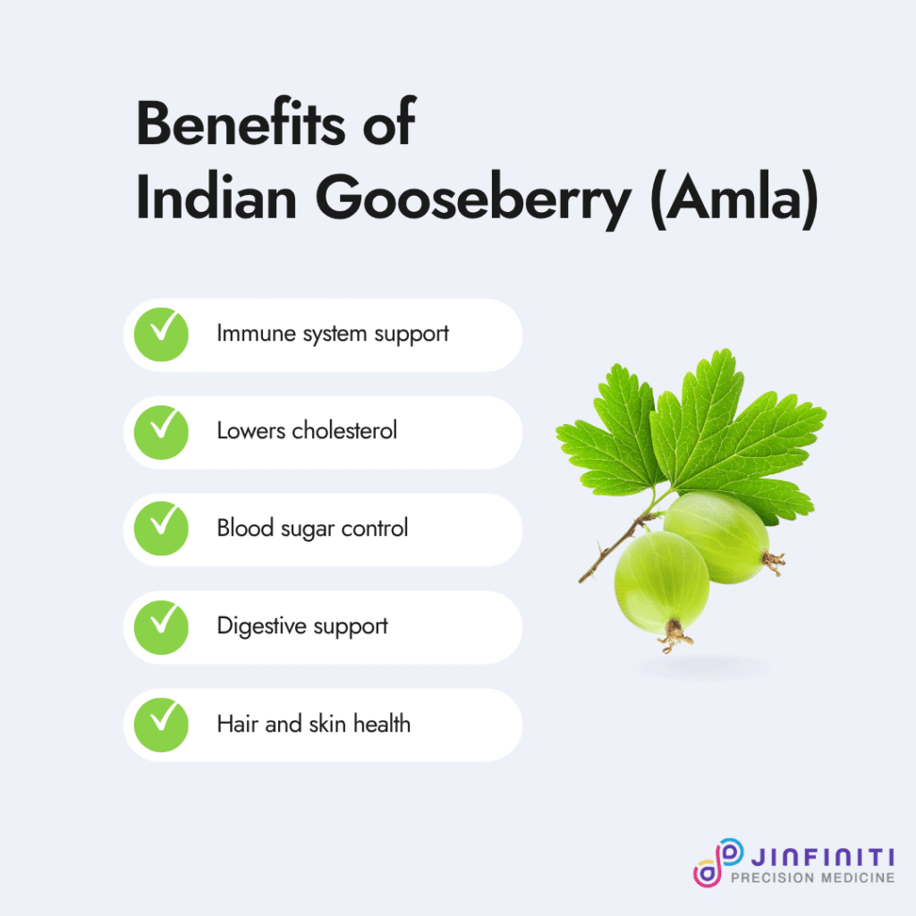 Indian Gooseberry (Amla): Benefits, Nutrition & Side Effects 4 Infographhic showing five benefits of Indian gooseberry (Amla fruit)