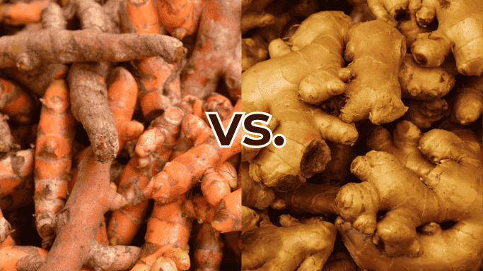 Turmeric vs Ginger: What's the Difference and Which is Best? 9 An image of turmeric vs. ginger