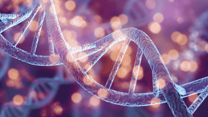 What's the Difference Between NAD, NADP and NADPH? 1 What’s the Difference Between NAD, NADP and NADPH?
