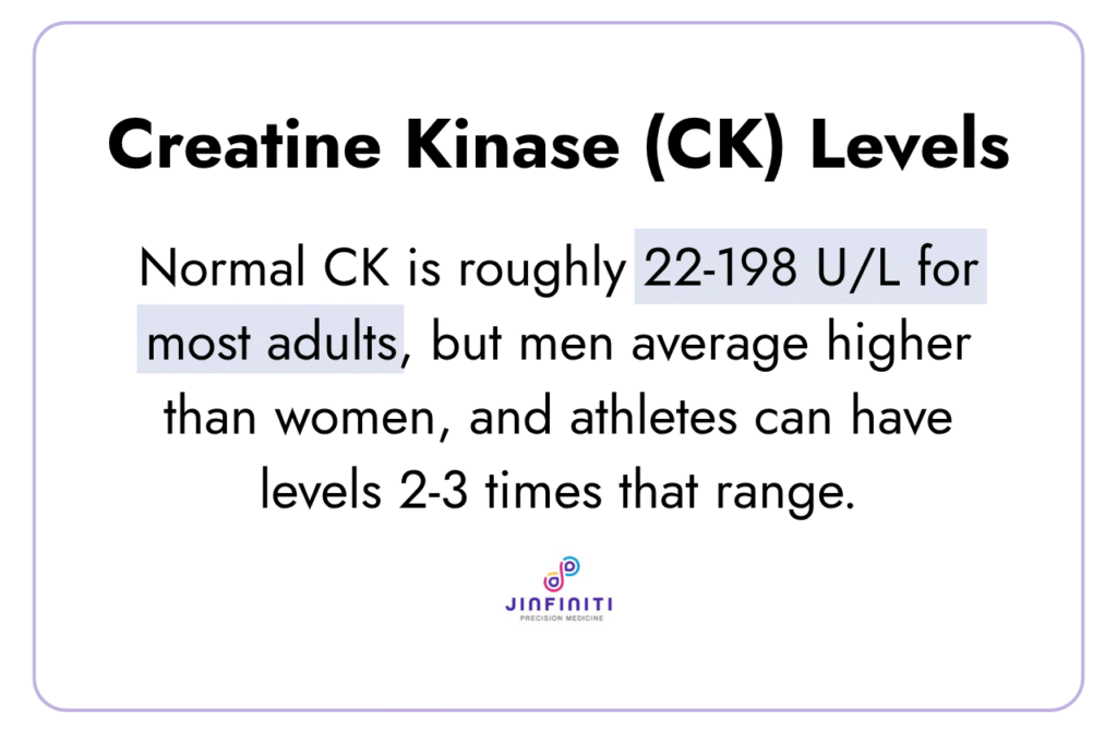 Infographic showing normal creatine kinase (CK) levels.