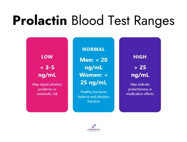 Prolactin Blood Test Levels: Normal Ranges and Results 5 Infographic showing normal ranges for a prolactin blood test.
