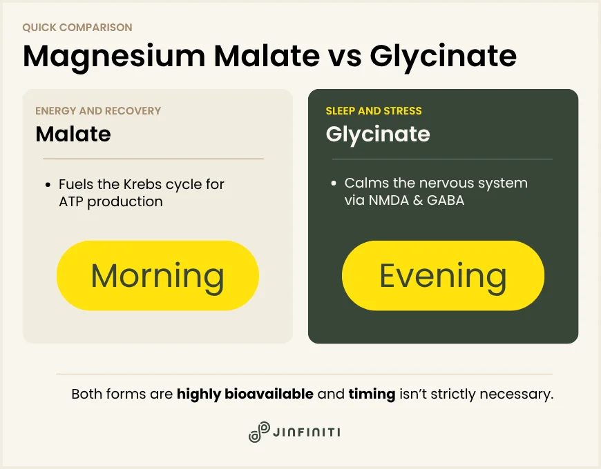Magnesium Malate vs. Glycinate: Which Form Is Right for You? 5 Infographic showing the difference between magnesium malate and glyicnate