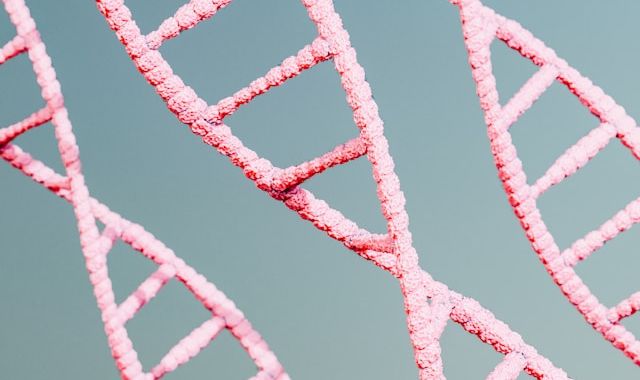 a c tIQa0Dl8qCU unsplash 063aa912