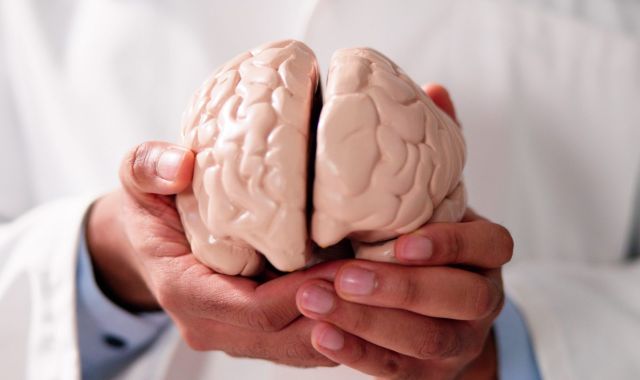 Understanding Andrew Huberman's Perspective on NAD+ Usage and Its Benefits 1 brain photo scaled 06e90d45