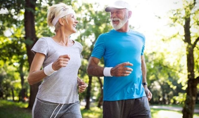 The Best Supplements for Mitochondrial Health in 2026 10 316 0848ca63