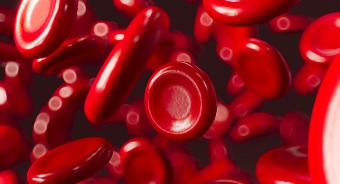 How to Increase Ferritin Quickly: 7 Evidence-Based Strategies 6 hematocrit platelets 49376cca