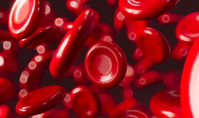 How to Increase Ferritin Quickly: 7 Evidence-Based Strategies 2 hematocrit platelets 6e91915c