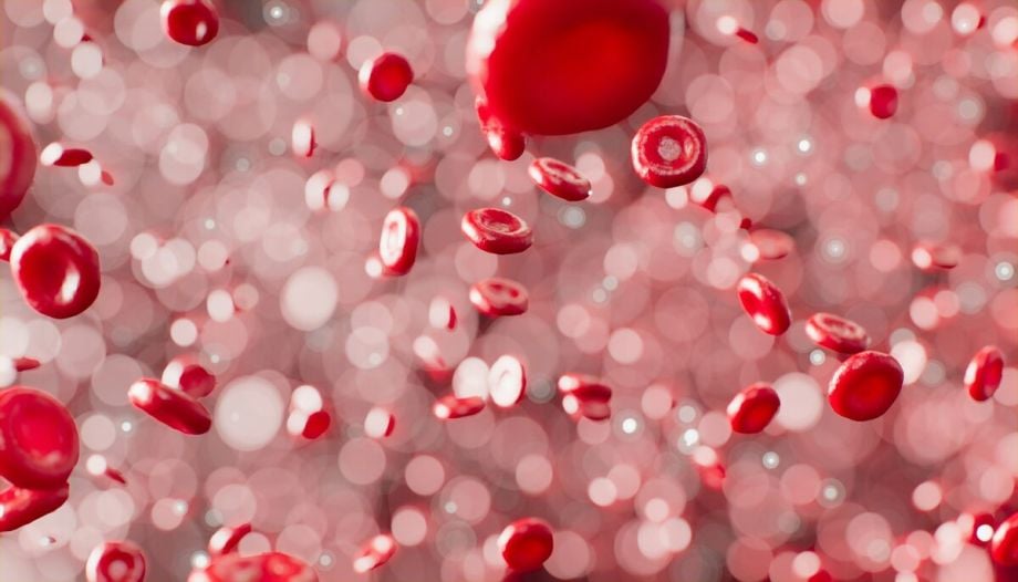 Homocysteine Testing Guide: Ranges, Results and When It Matters 1 Homocysteine Testing Guide: Ranges, Results and When It Matters