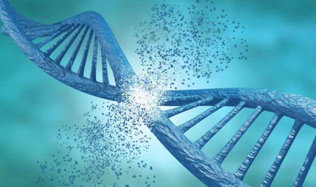 What is 8-OHdG? Understanding DNA Oxidative Stress 5 wednesday image 90df374a