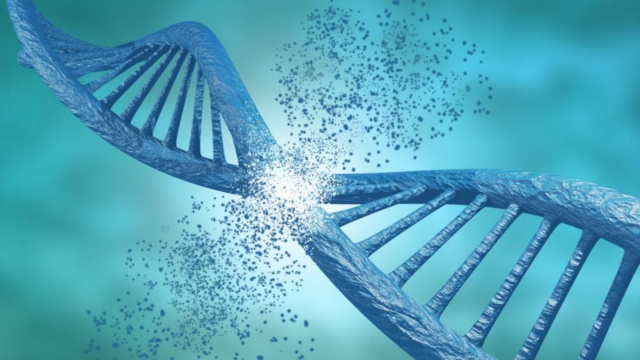 How Biological Age Tests Work: Current Methods and Accuracy 1 How Biological Age Tests Work: Current Methods and Accuracy