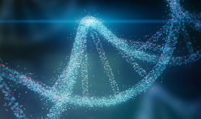 What is 8-OHdG? Understanding DNA Oxidative Stress 2 dna damage b7fe011b