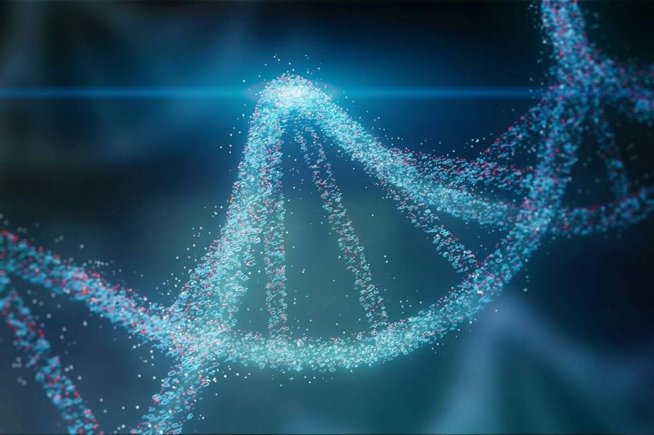 DNA Damage: Types, Symptoms, Repair and Prevention 1 DNA Damage: Types, Symptoms, Repair and Prevention
