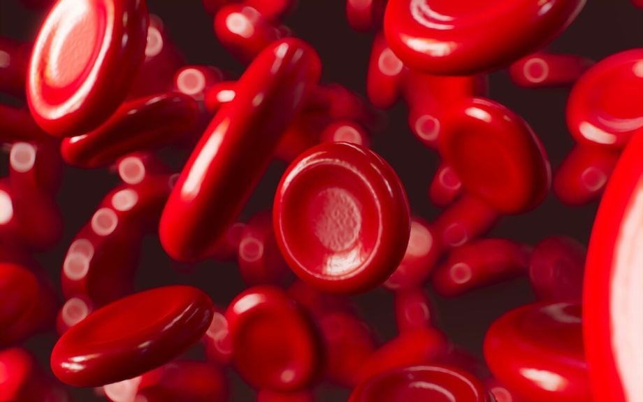 How to Increase Low Hematocrit Levels Naturally 1 How to Increase Low Hematocrit Levels Naturally
