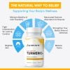 Extra Strength Turmeric+ 9 turmeric slide 5 0413dd7a