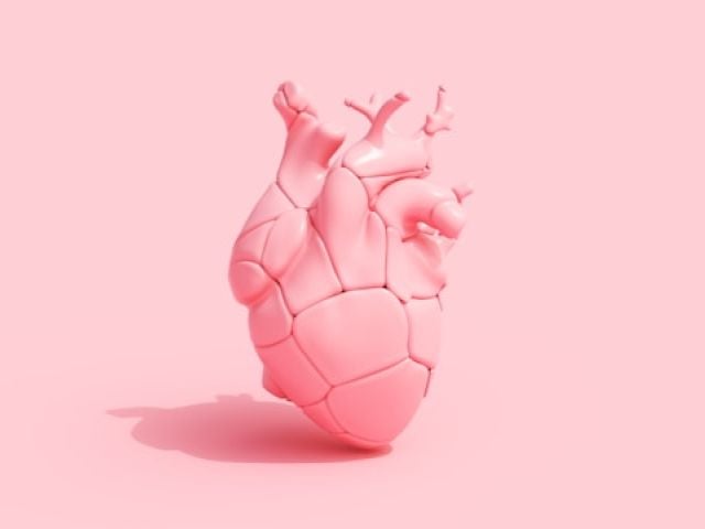 Bryan Johnson Blueprint Supplement List Reviewed (2025) 8 A stylized pink anatomical heart with geometric facets sits on a soft pink background surface.