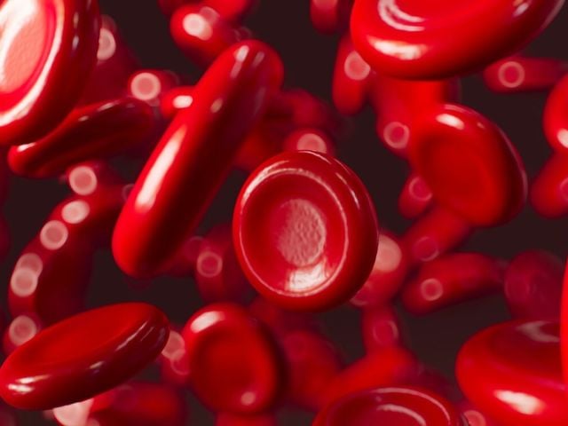 Hematocrit blood platelets image