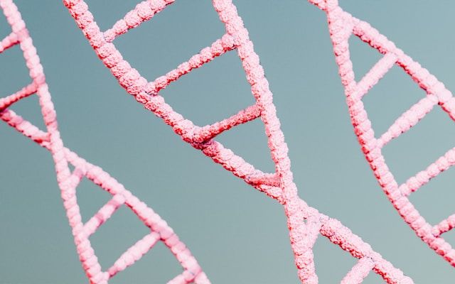 Intersecting pink textured lines with rough edges form angular geometric patterns and triangular shapes against a gray background.