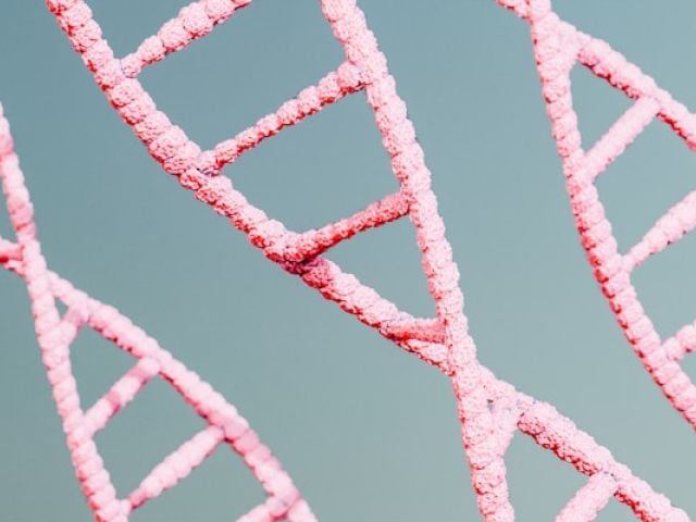 Intersecting pink textured lines with rough edges form angular geometric patterns and triangular shapes against a gray background.