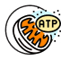 illustration store atp