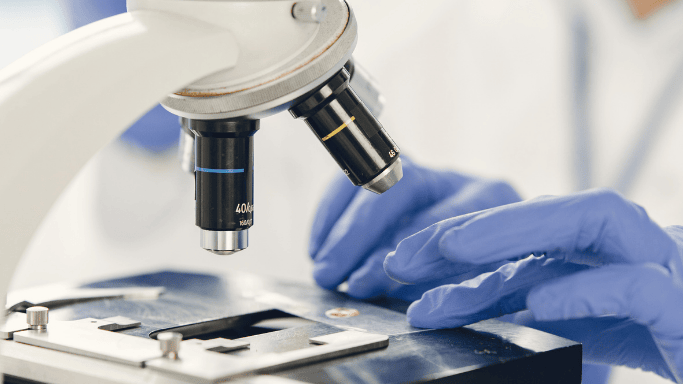An image of a laboratory experimentation about the clinical evidence for NAD+ supplementation