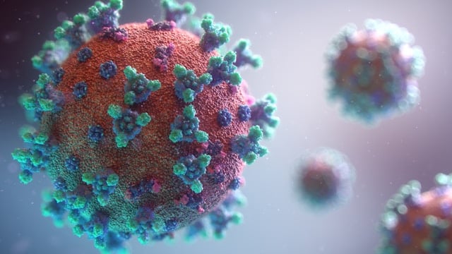 Visualization of a coronavirus