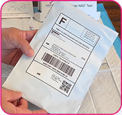 Dose Finding With Two NAD+ Tests and Free NAD Supplement V7 8 step three mail back