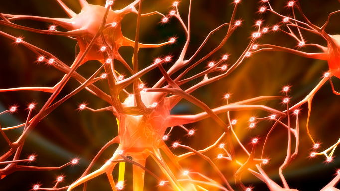 What's the Difference Between NAD, NADP and NADPH? 3 An image of cellular activity inside the human body