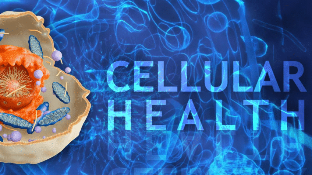 A graphic illustration about cellular health