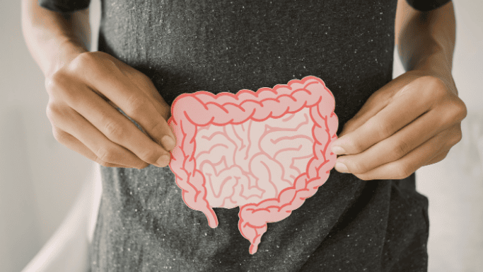 An image of a man holding a model of an intestine depicting gut health
