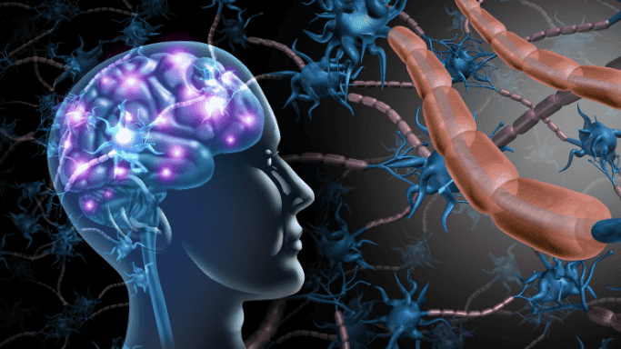 Illustration of a human brain with glowing neural connections and surrounding neurons, representing brain function, cognition, and neurological activity.