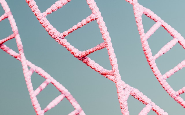 Intersecting pink textured lines with rough edges form angular geometric patterns and triangular shapes against a gray background.