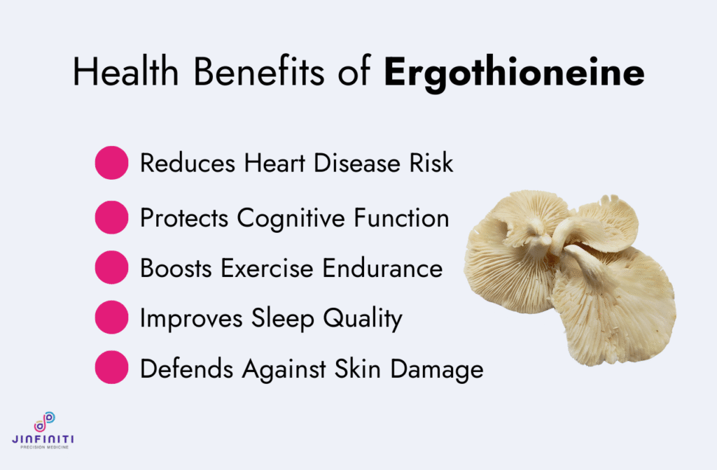 Is Ergothioneine the Next Big Longevity Nutrient? 4 Infographic showing five health benefits of ergothioneine