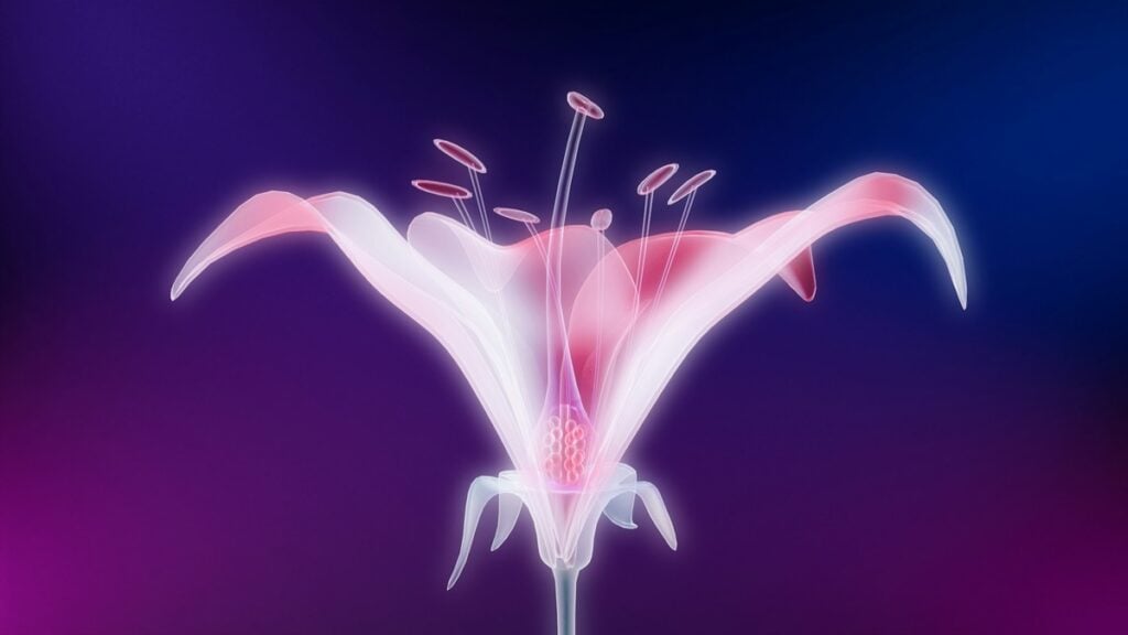 A glowing, semi-transparent lily flower in shades of pink and purple, symbolizing women's hormonal health.