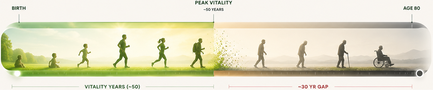 Homepage 12 illustration age gap